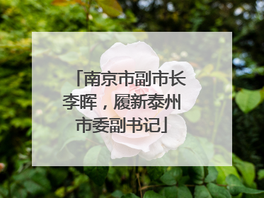 南京市副市长李晖，履新泰州市委副书记
