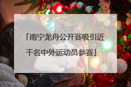 南宁龙舟公开赛吸引近千名中外运动员参赛
