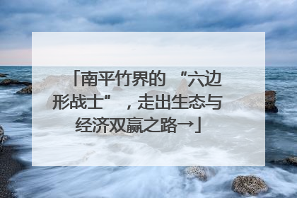 南平竹界的 “六边形战士”，走出生态与经济双赢之路→