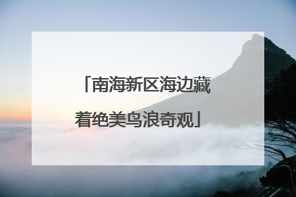 南海新区海边藏着绝美鸟浪奇观