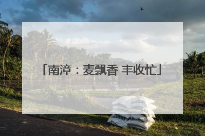 南漳：麦飘香 丰收忙