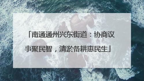 南通通州兴东街道：协商议事聚民智，清淤备耕惠民生
