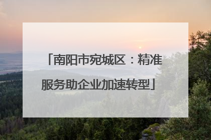 南阳市宛城区：精准服务助企业加速转型