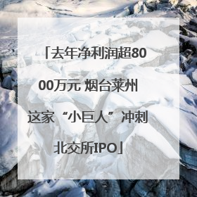 去年净利润超8000万元 烟台莱州这家“小巨人”冲刺北交所IPO
