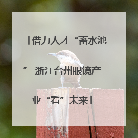 借力人才“蓄水池” 浙江台州眼镜产业“看”未来