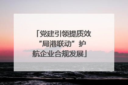党建引领提质效 “局港联动”护航企业合规发展