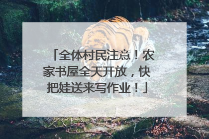 全体村民注意！农家书屋全天开放，快把娃送来写作业！