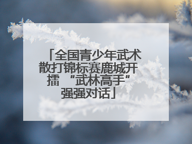 全国青少年武术散打锦标赛鹿城开擂 “武林高手”强强对话