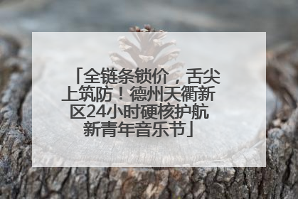 全链条锁价，舌尖上筑防！德州天衢新区24小时硬核护航新青年音乐节