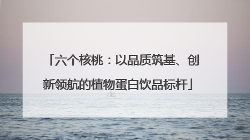 六个核桃：以品质筑基、创新领航的植物蛋白饮品标杆