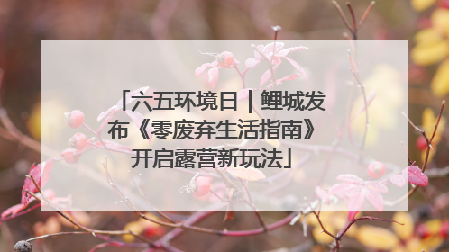 六五环境日｜鲤城发布《零废弃生活指南》开启露营新玩法