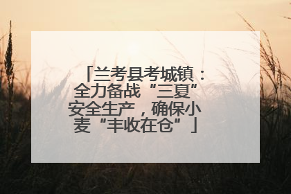 兰考县考城镇：全力备战“三夏”安全生产，确保小麦“丰收在仓”