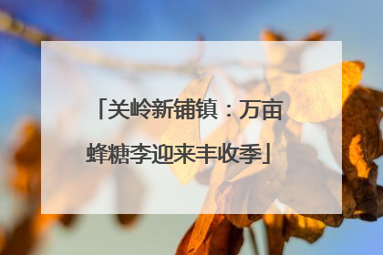 关岭新铺镇：万亩蜂糖李迎来丰收季