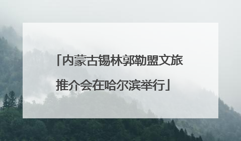 内蒙古锡林郭勒盟文旅推介会在哈尔滨举行