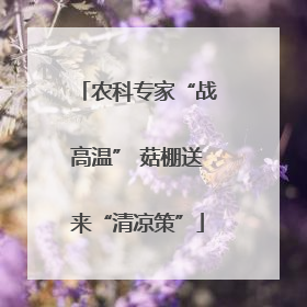 农科专家“战高温” 菇棚送来“清凉策”
