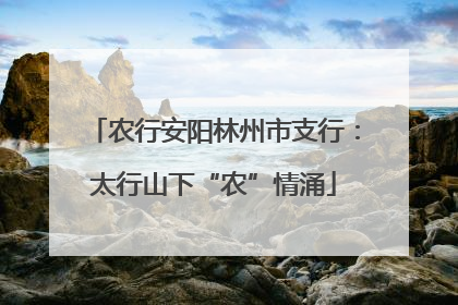 农行安阳林州市支行：太行山下“农”情涌