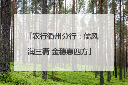 农行衢州分行：儒风润三衢 金穗惠四方