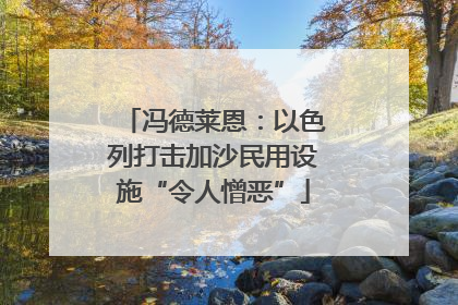 冯德莱恩：以色列打击加沙民用设施“令人憎恶”