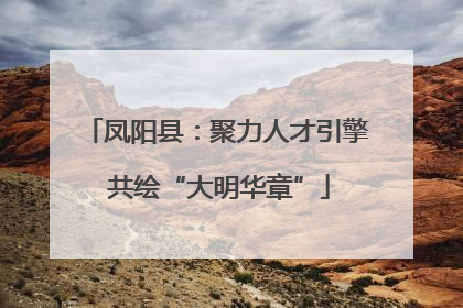凤阳县：聚力人才引擎 共绘“大明华章”