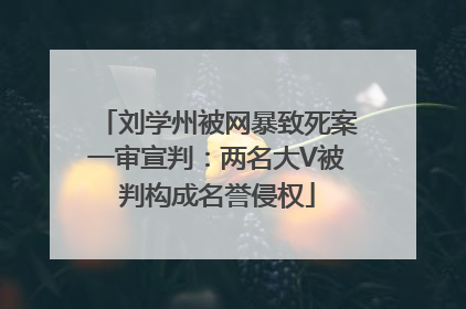 刘学州被网暴致死案一审宣判：两名大V被判构成名誉侵权