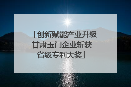 创新赋能产业升级 甘肃玉门企业斩获省级专利大奖
