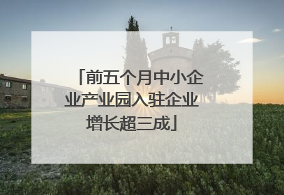 前五个月中小企业产业园入驻企业增长超三成