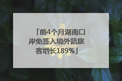 前4个月湖南口岸免签入境外籍旅客增长189%