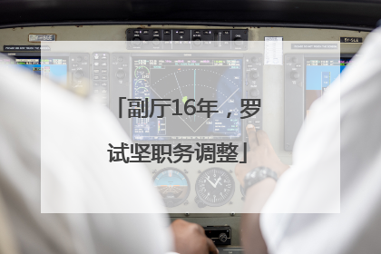 副厅16年，罗试坚职务调整