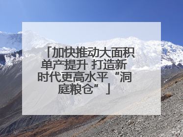 加快推动大面积单产提升 打造新时代更高水平“洞庭粮仓”