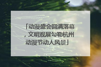 动漫盛会圆满落幕，文明观展勾勒杭州动漫节动人风景
