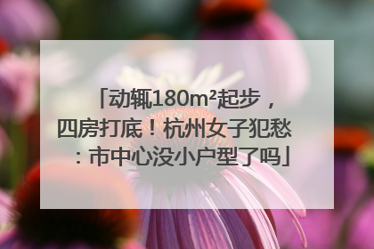 动辄180m²起步，四房打底！杭州女子犯愁：市中心没小户型了吗