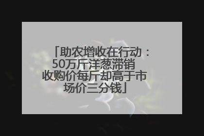 助农增收在行动：50万斤洋葱滞销 收购价每斤却高于市场价三分钱