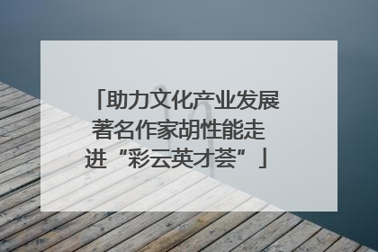 助力文化产业发展 著名作家胡性能走进“彩云英才荟”