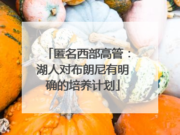 匿名西部高管：湖人对布朗尼有明确的培养计划