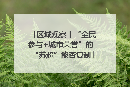 区域观察丨“全民参与+城市荣誉”的“苏超”能否复制