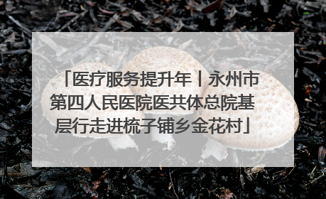 医疗服务提升年丨永州市第四人民医院医共体总院基层行走进梳子铺乡金花村