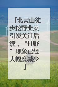 北灵山徒步挖野韭菜引发关注后续，“打野”现象已经大幅度减少