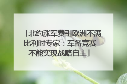 北约涨军费引欧洲不满 比利时专家：军备竞赛不能实现战略自主