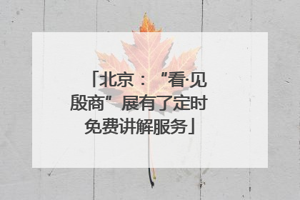 北京：“看·见殷商”展有了定时免费讲解服务