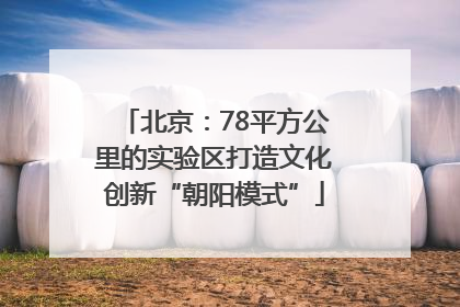 北京：78平方公里的实验区打造文化创新“朝阳模式”