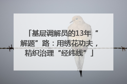 基层调解员的13年“解题”路：用绣花功夫，精织治理“经纬线”