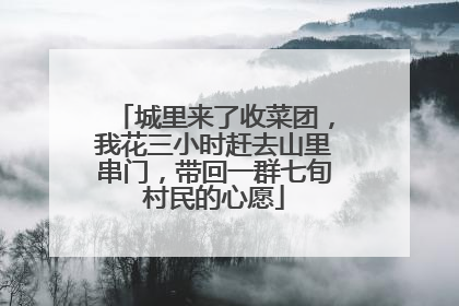 城里来了收菜团，我花三小时赶去山里串门，带回一群七旬村民的心愿