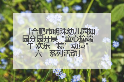 合肥市明珠幼儿园如园分园开展“童心撞端午 欢乐‘粽’动员”六一系列活动