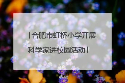 合肥市虹桥小学开展科学家进校园活动