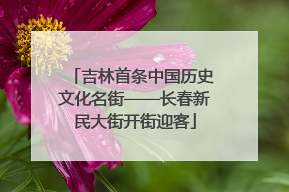 吉林首条中国历史文化名街——长春新民大街开街迎客