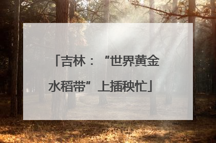 吉林：“世界黄金水稻带”上插秧忙