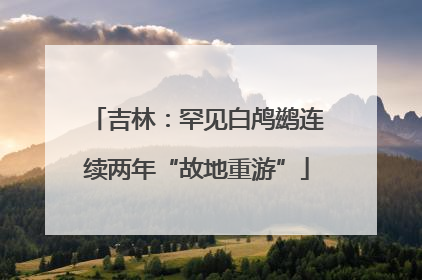 吉林：罕见白鸬鹚连续两年“故地重游”