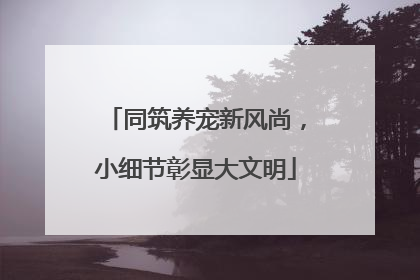 同筑养宠新风尚，小细节彰显大文明