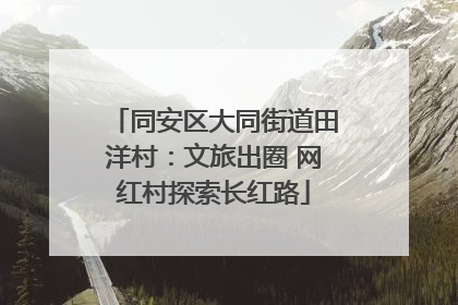 同安区大同街道田洋村：文旅出圈 网红村探索长红路