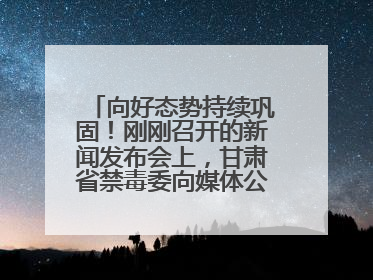 向好态势持续巩固！刚刚召开的新闻发布会上，甘肃省禁毒委向媒体公布三年禁毒工作“成绩单”